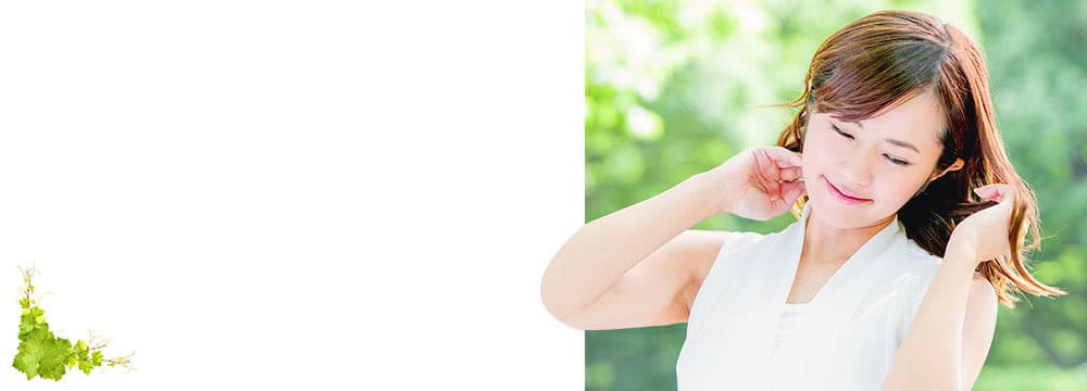 �}�C�i�`�����������͂����炩��I�y2026�N�ŐV�z�}�C�i�`�����ɂ��������j�^�[�͂���H�ň��l��1�񂾂������S��@